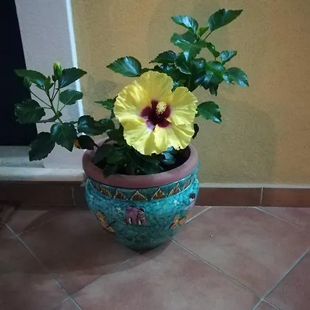 La Dimora Di Alfonso Отель типа 