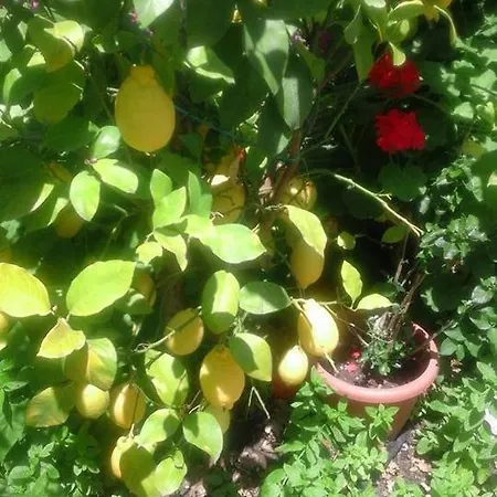 La Dimora Di Alfonso *