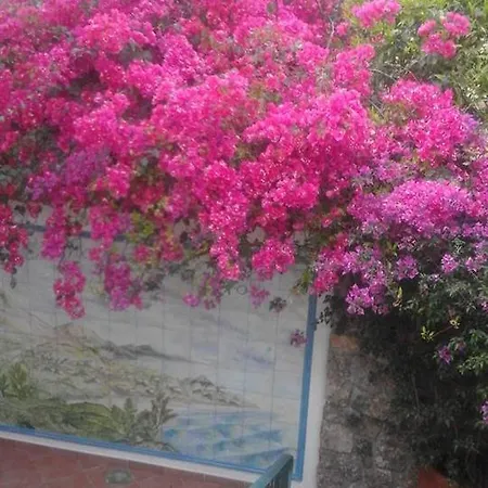 La Dimora Di Alfonso Bed & Breakfast Maratea