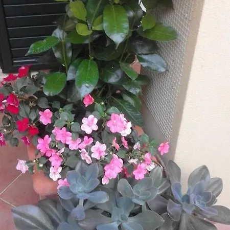 La Dimora Di Alfonso 住宿加早餐酒店 马拉泰亚