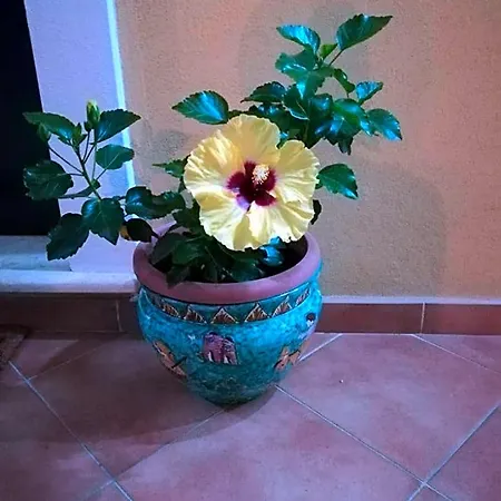 La Dimora Di Alfonso
