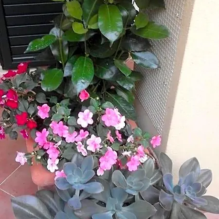 Bed & Breakfast La Dimora Di Alfonso