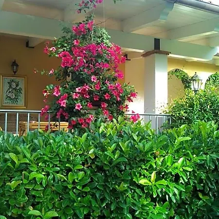 Bed & Breakfast La Dimora Di Alfonso Maratea