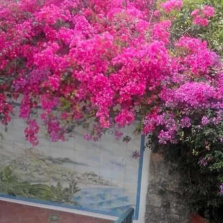 Bed & Breakfast La Dimora Di Alfonso