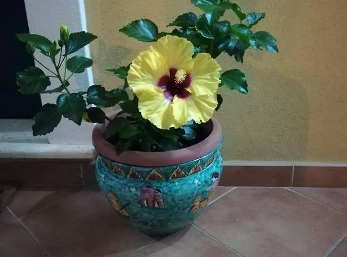 La Dimora Di Alfonso Bed & Breakfast