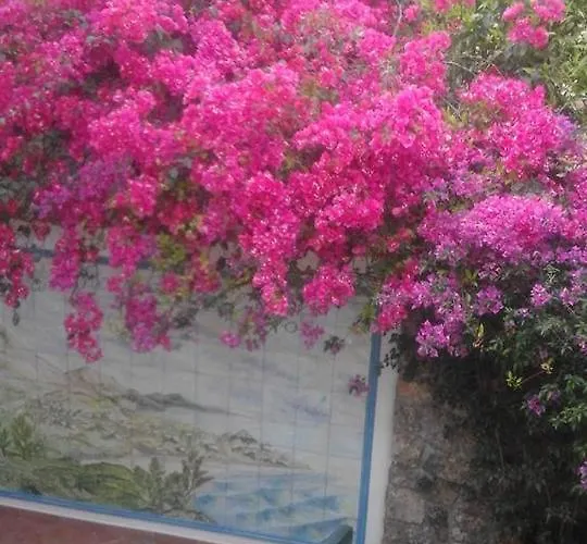 La Dimora Di Alfonso Bed & Breakfast Maratea