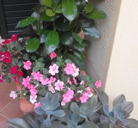 La Dimora Di Alfonso Bed & Breakfast Maratea